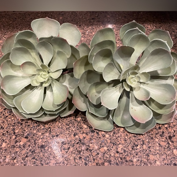 Pottery Barn Succulent Stems set of two - Picture 1 of 2